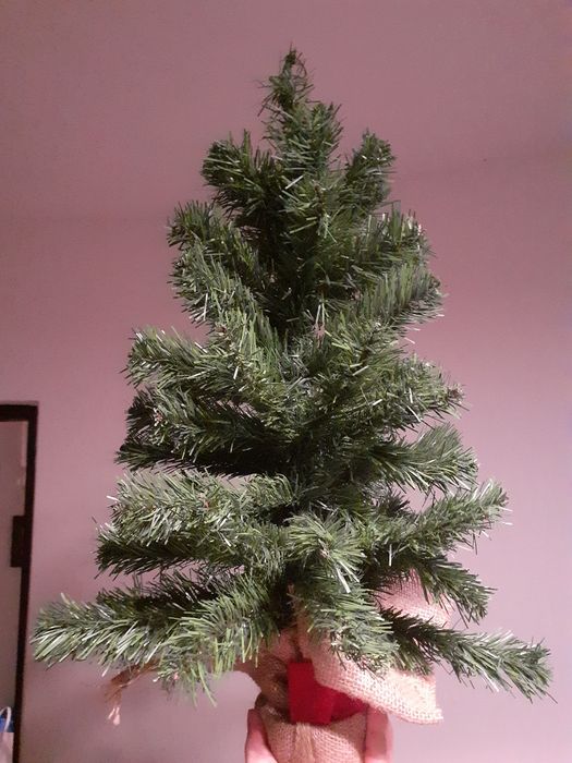 Brad 68cm la 70 lei