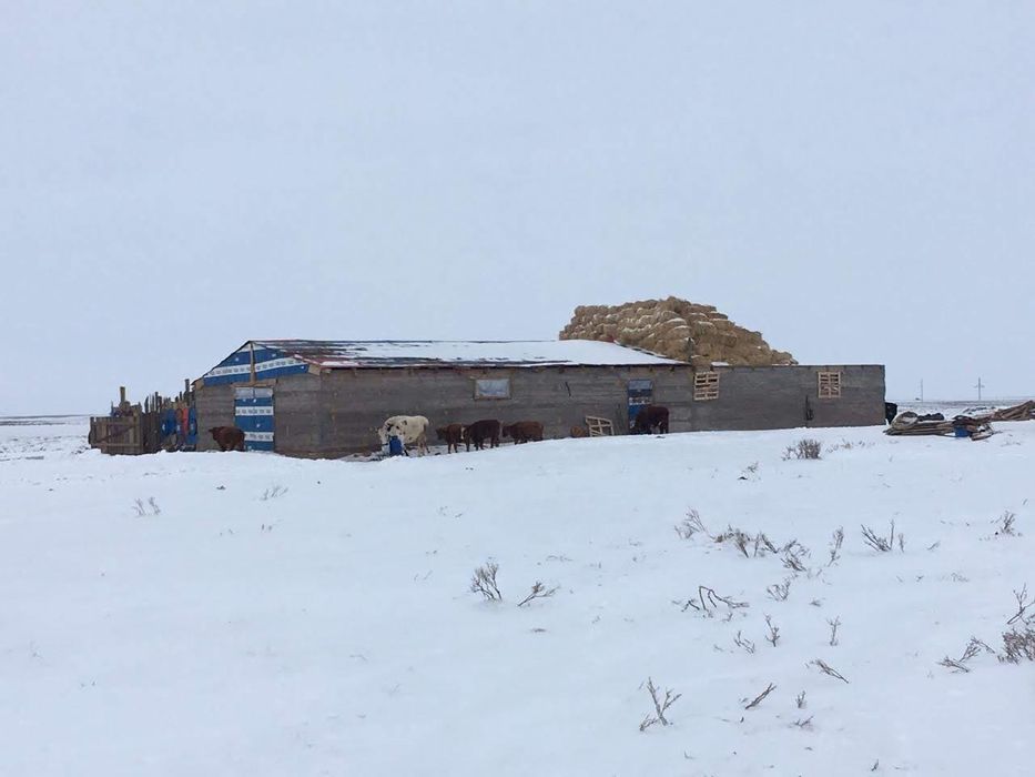 Сельское хозяйство