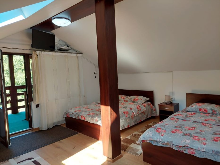 Cabană lângă Pârtia Toplița