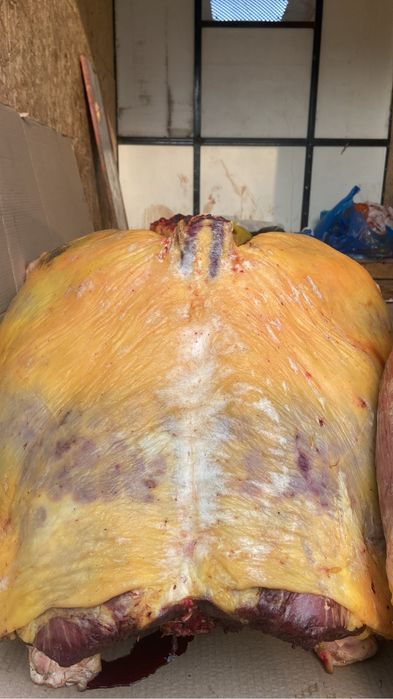 Қасапшы на Ет бұзу