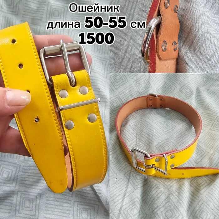 Амуниция для собак. Шлейки, поводки, ошейники.