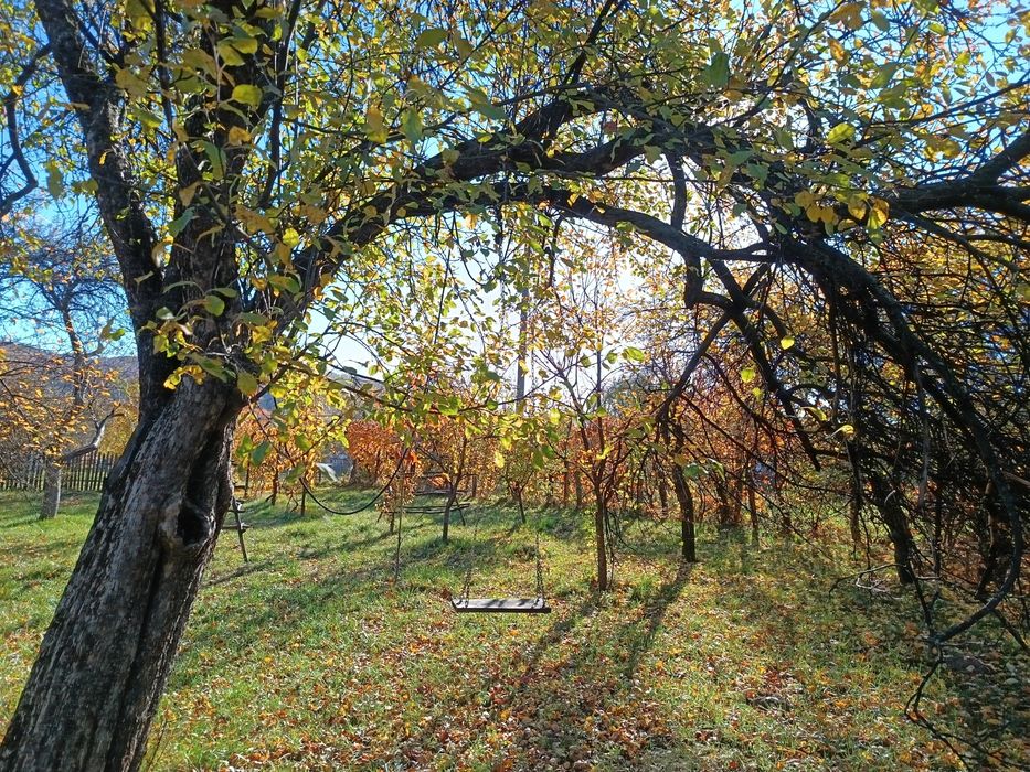 Casa si teren de vanzare