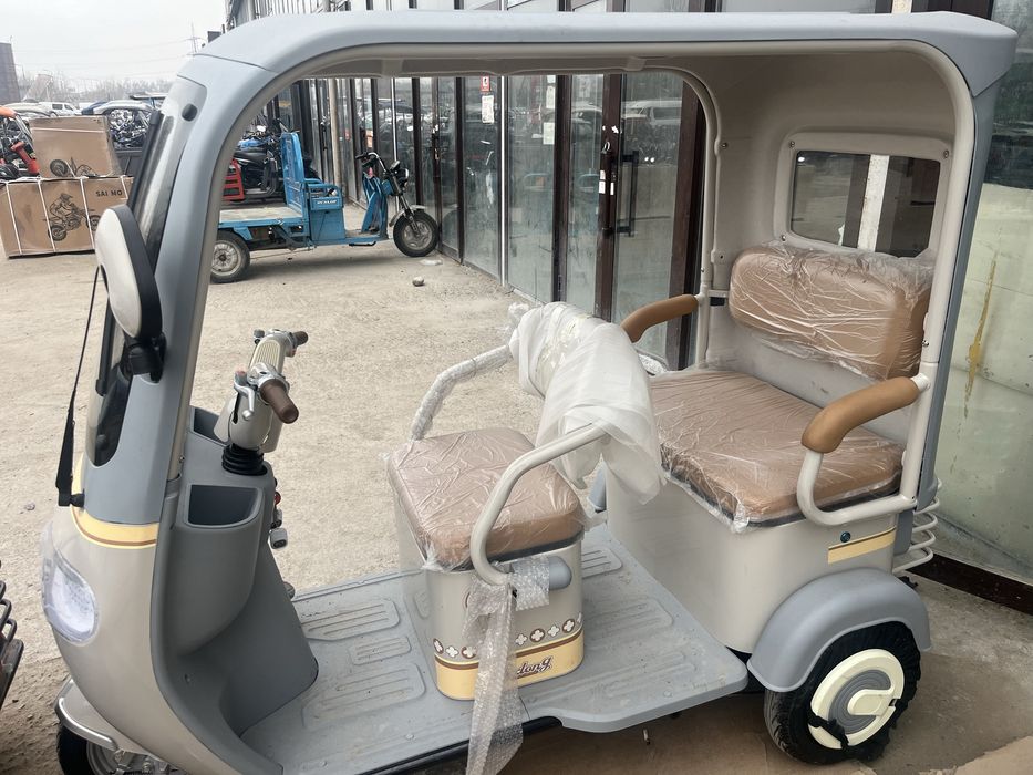 Электрический трицыкл