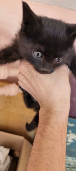 Нашли очаровательных малышей