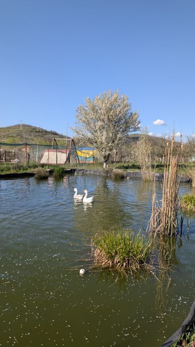 Cursuri ateliere de pescuit și activități outdoor pentru copii