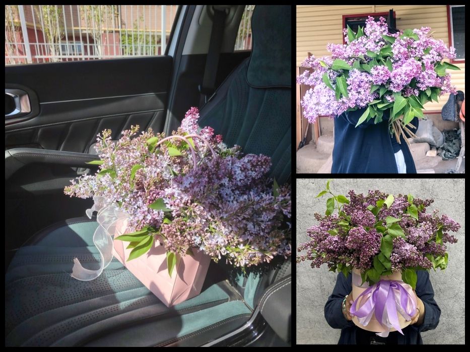 Букет из сирени,