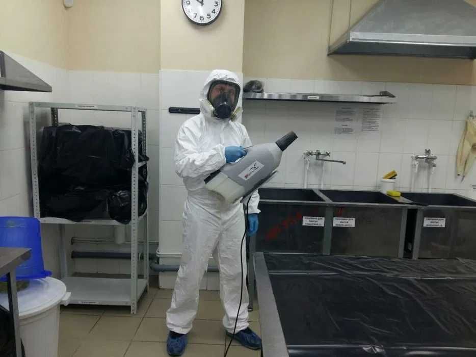 Dezinfeksiya Дезинфекция Уничтожение клопов, тараканов, блох 24 часа