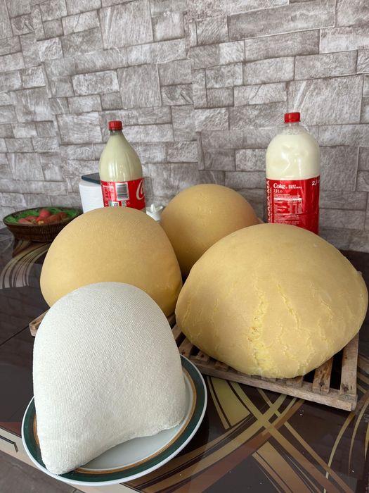 Vand branza , urda …