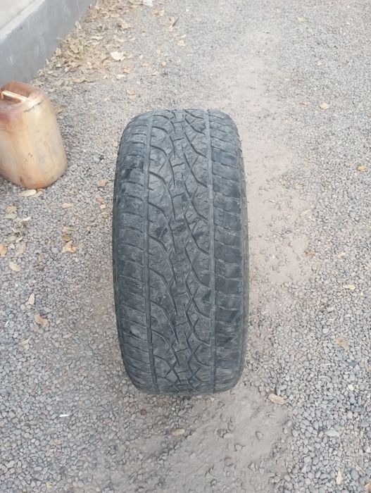 275/ 55R20. 117H. XL baloni sotiladi