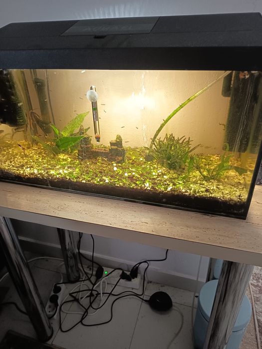 Acvariu capacitate 54 l