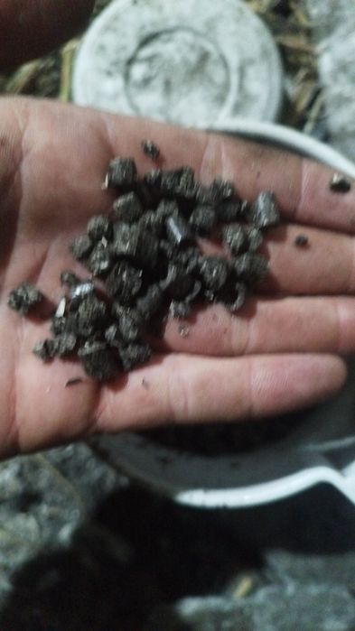 Продам жмых от подсолнухи