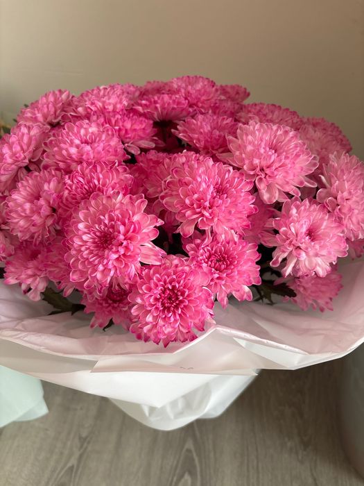 Продам б/у цветы