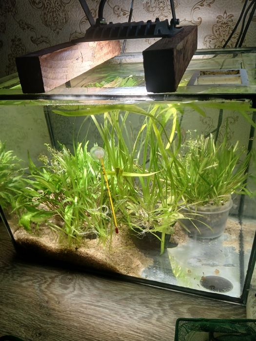 Аквас 40 л с рыбками в комплекте