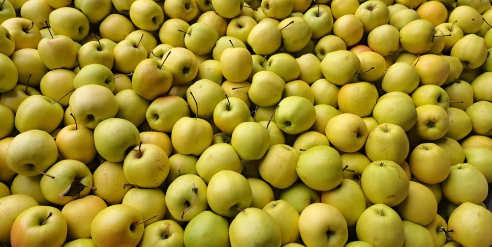 Mere mici – roșii și Golden în lăzi paletizate