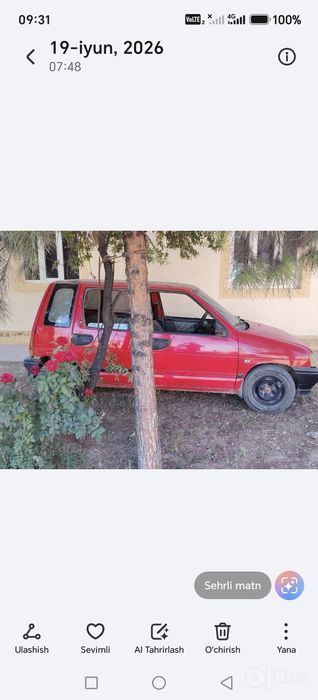 Tiko gazi bor. Xammajoyi zo'r