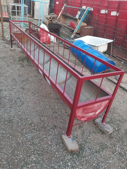 Ақыр. Науа. Карита. Астау.