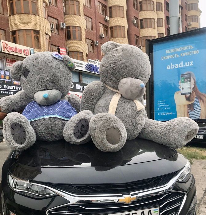 Тедди Teddy Teddi Teddiy по Оптовым сенам