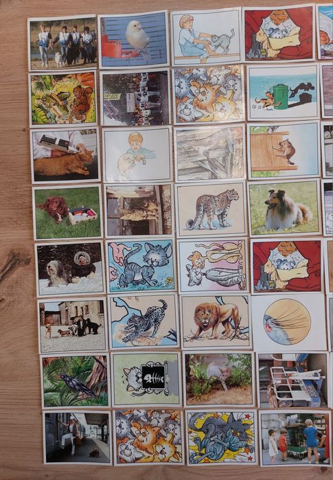 Лепенки с животни EDIZIONI PANINI, Made in Italy