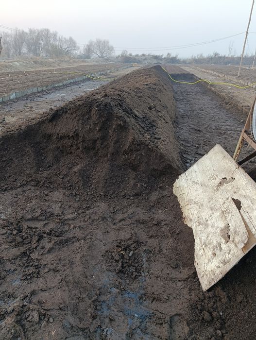 Biogums  sifatli va ishonchli  bizda abyom kota  narxlar arzon