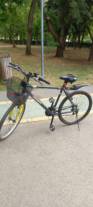 Bicicletă mare Unisex