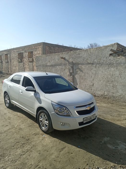 Коболт евро 2022