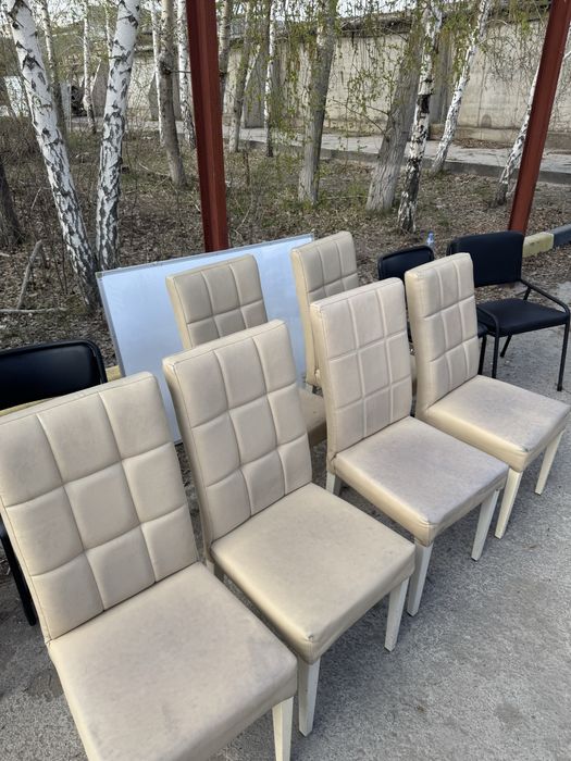 Продам стулья не дорого