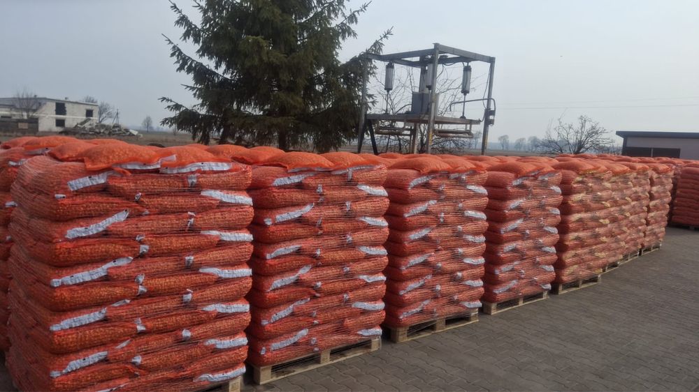 Vand arpagic stuttgarter