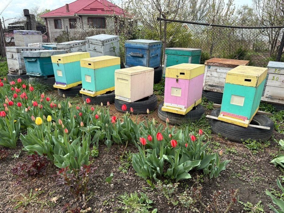 Продам улья на12 10 и 8 рамок