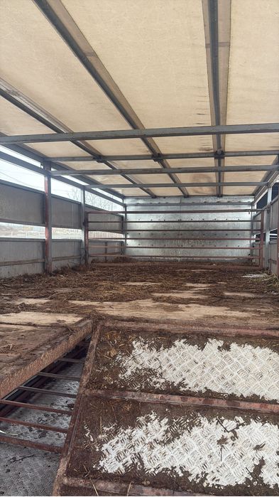 Iveco daily 50c15 motor 2998 150 cai transport animale