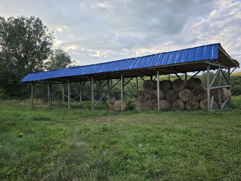 Baloti lucerna sau Fan.Rotunzi 40.Drept.500.Ferma de închiriat.