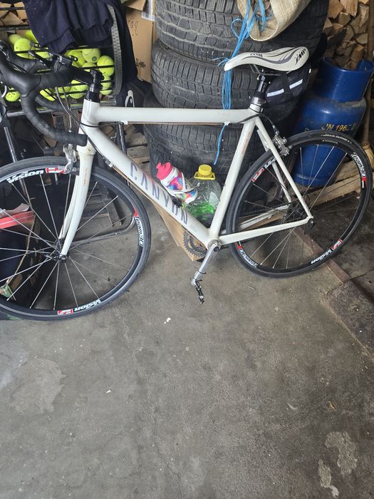 Cursiera Carbon Canyon