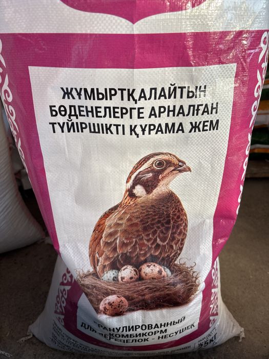 корм для кур несушек