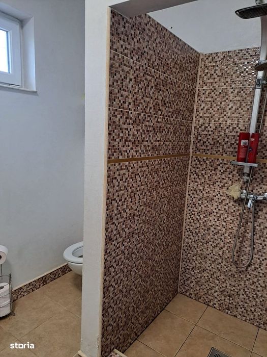 Casă parter în Grigorescu 4 camere, bucatarie, living, 2 băi, ST 688mp