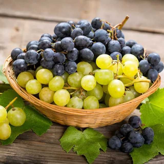 Продавам  грозде за ракия 0897546615
