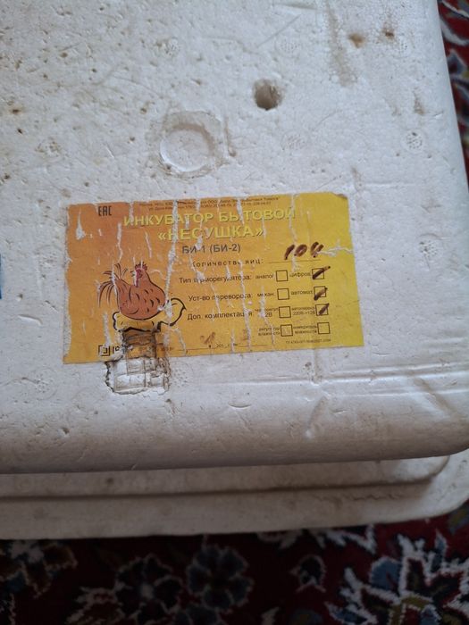 Инкубатор, золушка, несушка