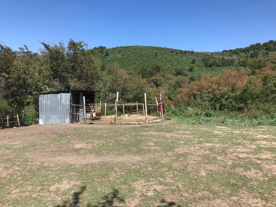 Продам Фазенду в Тургене