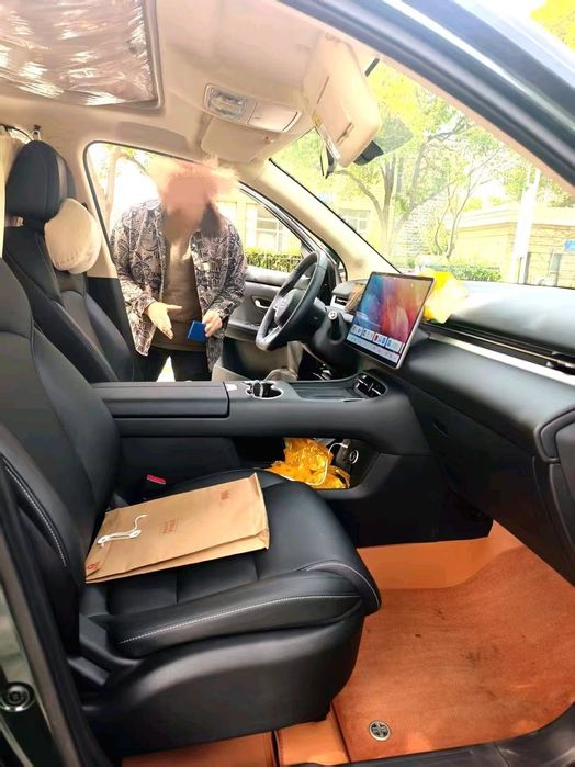 Dongfeng Landian E5 Plus, 165km