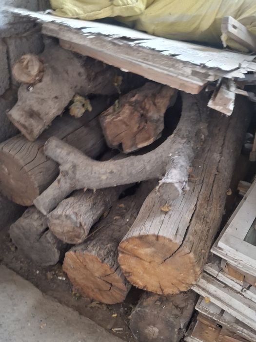 O'tin sotiladi har xilari bor