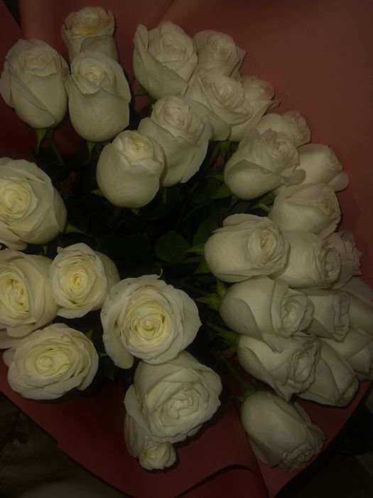 Белые розы свежие