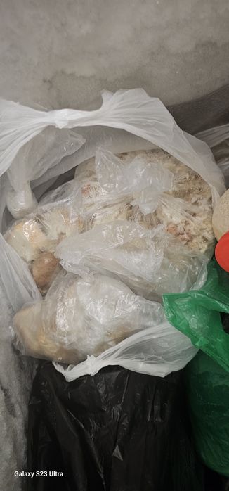 Корм для сабак бесплатно