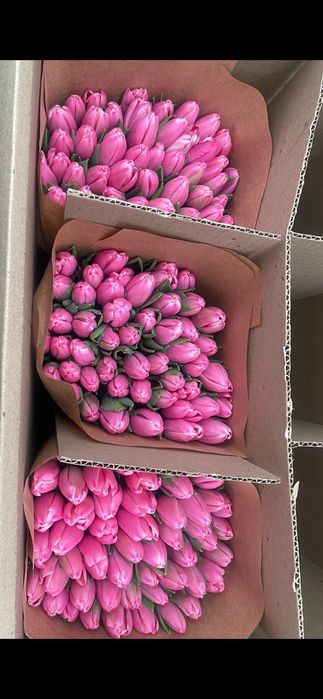 Тюльпаны к 8 марта