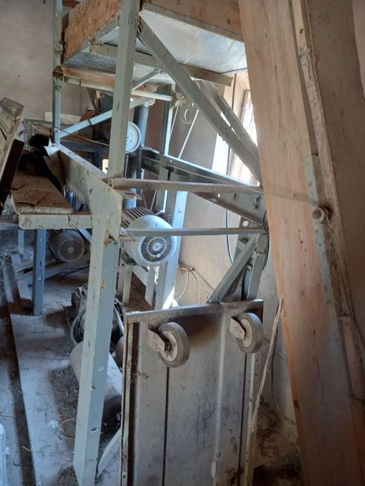 Sholi xoroz sotiladi