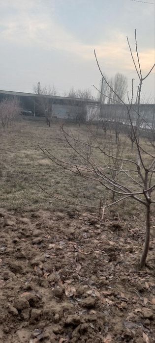 Уй сотилади  Синдарободда 20 сотих.хамма шароити борр