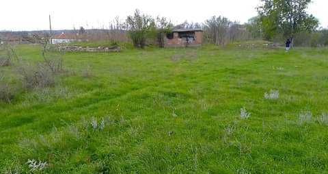 Продава се Парцел в с. Златополе, Област Хасково - 9300 кв.м за 7 €/кв.м - Снимка #6