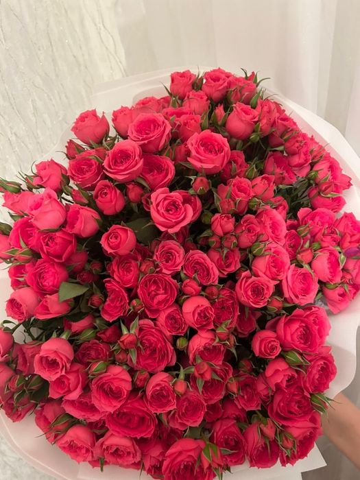 Цветы свежий кустовые