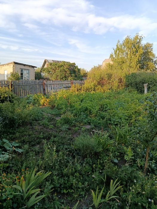 Дача в обществе "Елочка" 1480