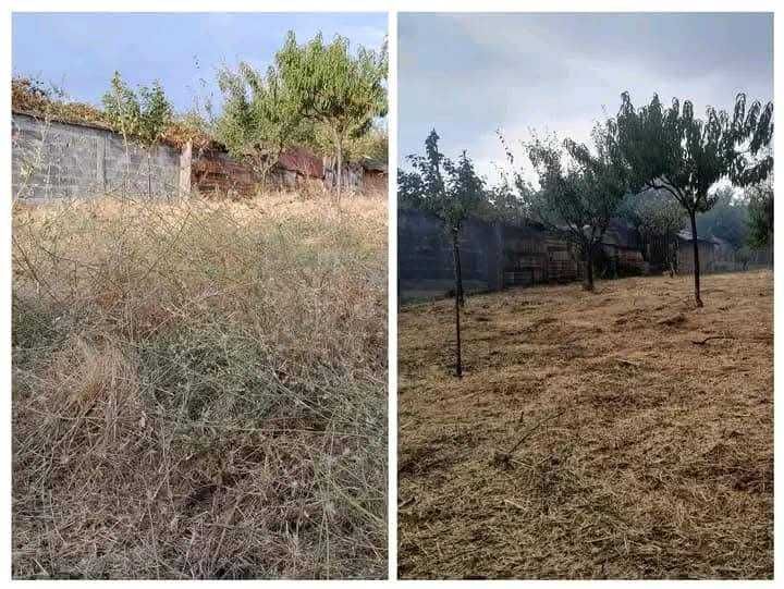 Косене на тревни площи,рязане на храсти.почистване на дворни места НИСКИ ЦЕНИ