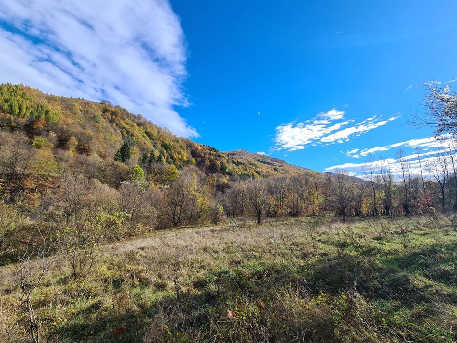 Vand teren Valea  Doftanei in coada lacului Paltinu