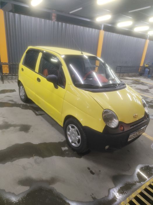 Matiz polilukus 2003