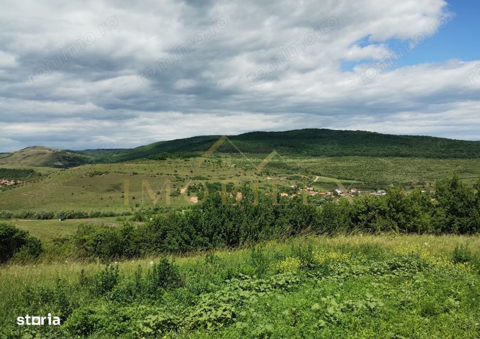 Teren intravilan 2.200 mp | Radaia – Baciu | Panorama superba